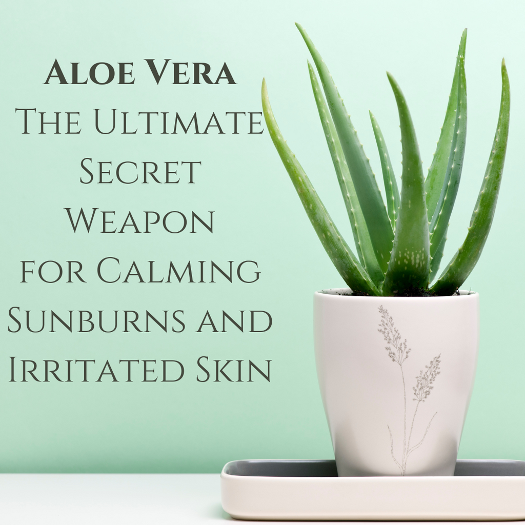 Aloe Vera: The Ultimate Secret Weapon for Calming Sunburns and Irritated Skin